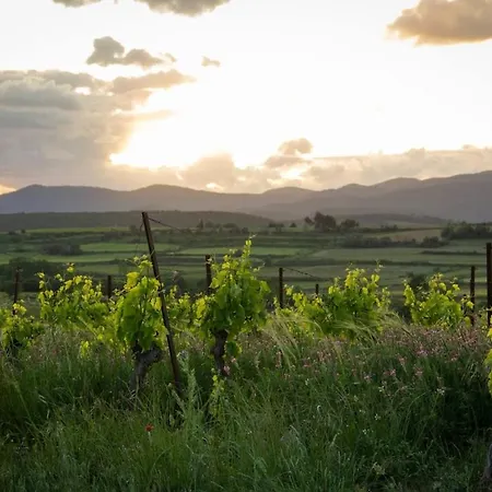 בית נופש Winegrowers' House Herault Beziers And Vineyards *